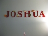 Cris painted and finished all these letters and shapes for Josh\'s name.